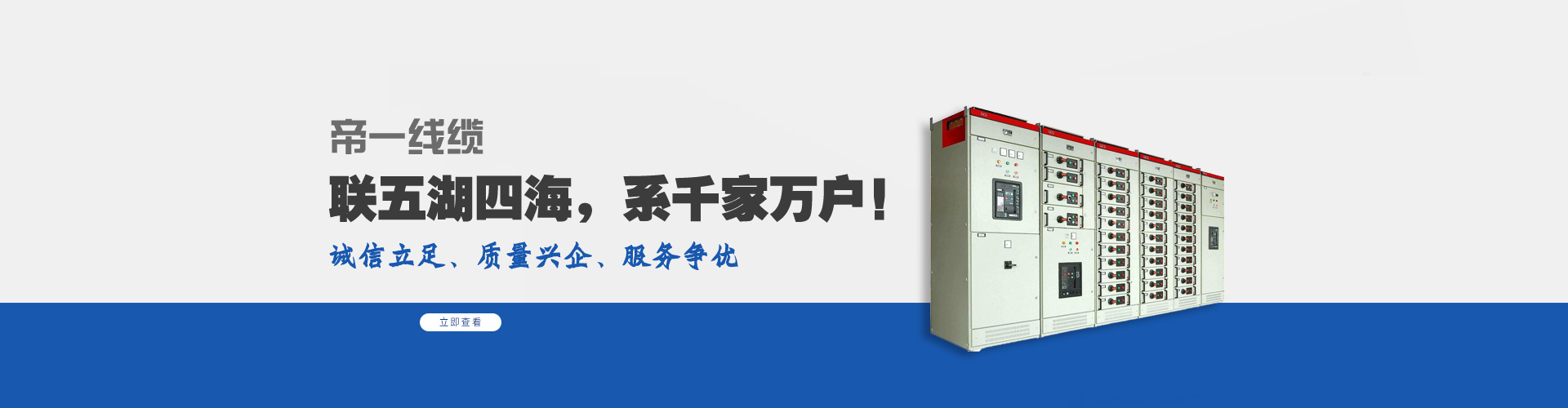 问鼎国际