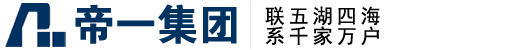 问鼎国际