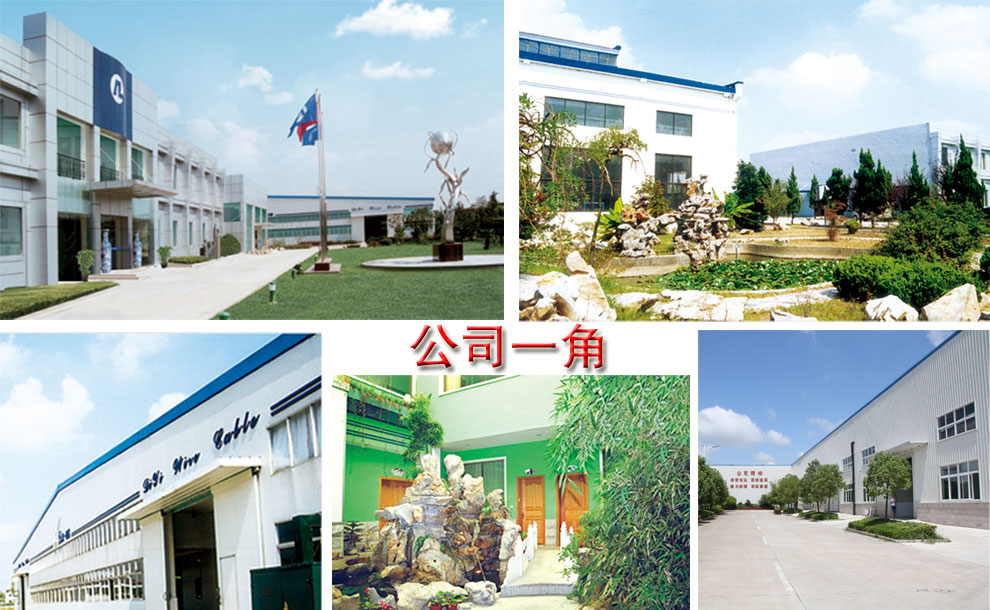 问鼎国际简介(图2)